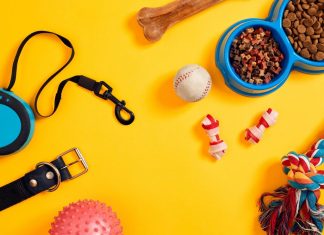 Pet Shop online: 10 magazine online cu hrana si accesorii pentru animale de companie pet shop