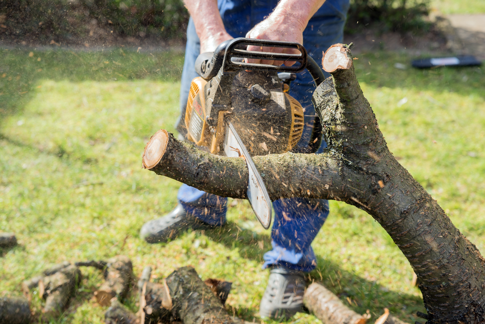 dispozitive gradinarit