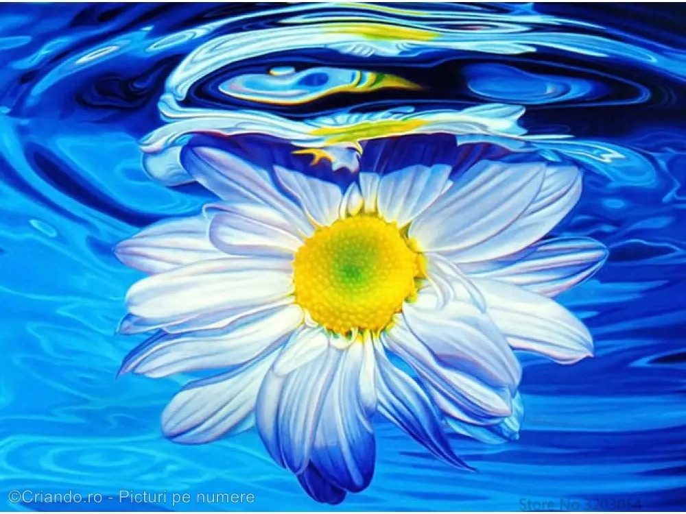 Set Pictura pe numere Flori Plutind in apa