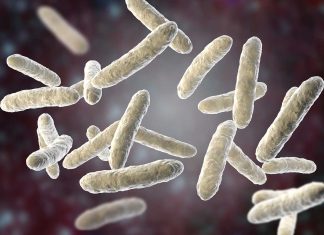 Probiotice: Ce sunt si de ce ar trebui sa le incluzi in rutina ta zilnica probiotice