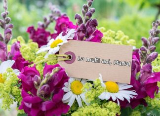 Urari de Sfanta Maria cu imagini. Bucura-i pe cei dragi cu o felicitare speciala felicitari de sfanta maria