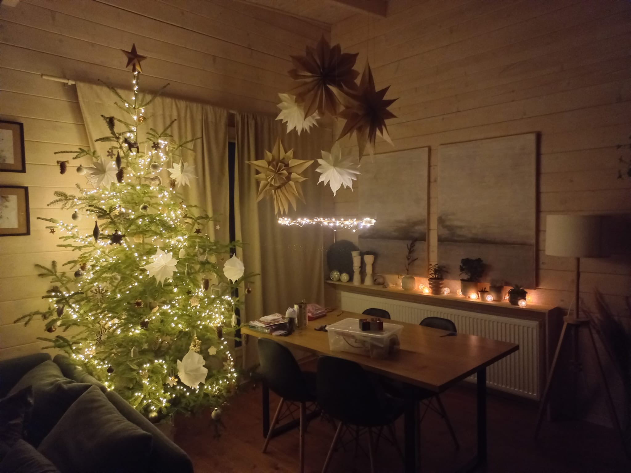 Ce idei noi aduce 2024 pentru decorarea bradului de Craciun? idei decorare brad craciun