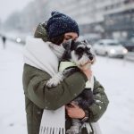 Când devine gerul un risc pentru câini și pisici. Ce soluții au stăpânii