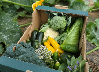Bio&Co, sursa de legume bio pentru consumatorii din București și Ilfov. Cum poți comanda coșuri săptămânale direct de la fermă